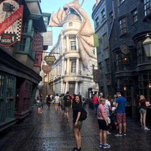 Meet your Posher, Tabitha